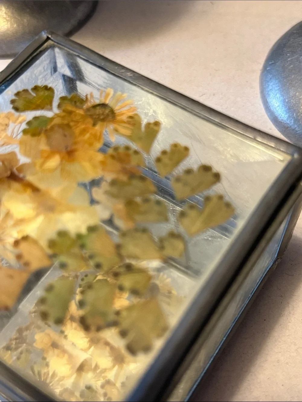 Vintage trinket box with metal edges and dried flowers on top. Mirror bottom.